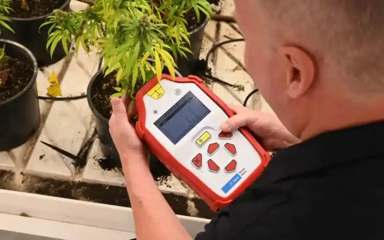 Predictive Plant Analysis