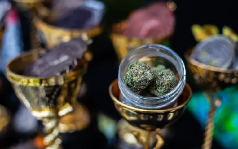 Announcing the High Times Cannabis Cup Michigan 2024