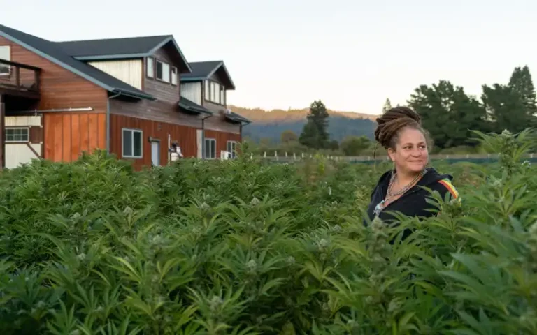 Dry Farming in Humboldt