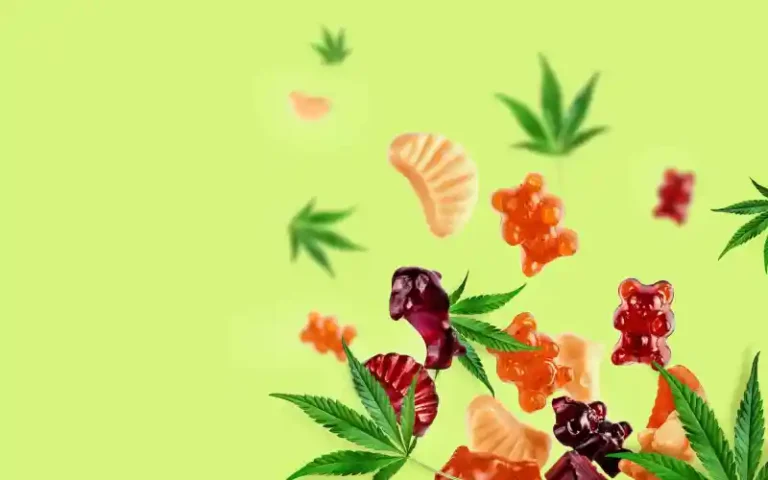 Popular U.S. Edibles Brand Announces European Launch