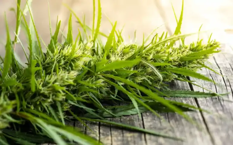 Connecticut House Approves Bill Regulating Hemp Products