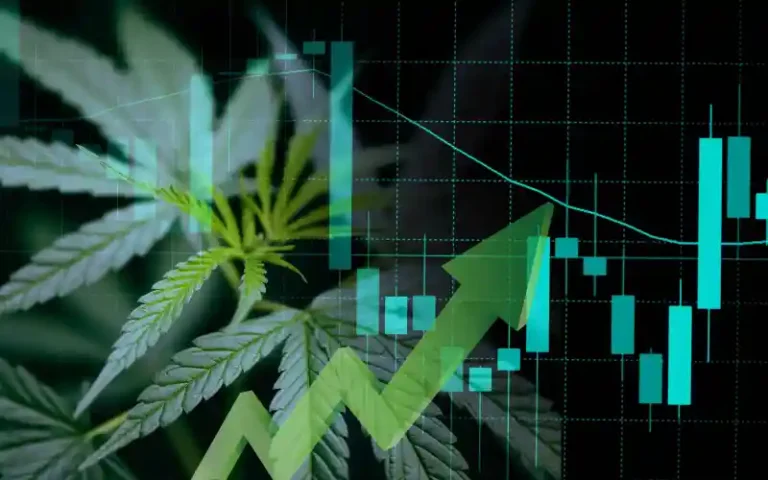 Global CBD Market to Hit $36B Over Next Decade, Report Predicts