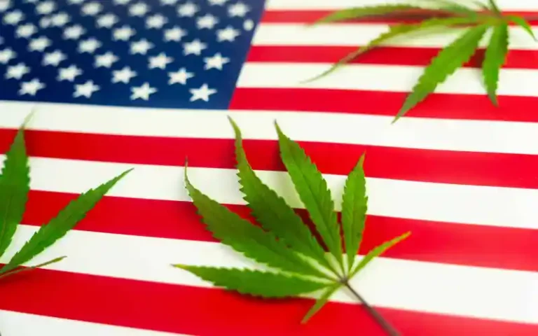 DEA Moves To Reclassify Cannabis Under Schedule III in Historic Move, Report Indicates