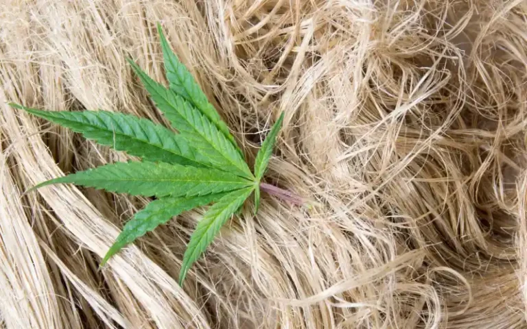 Hemp Fiber Market to Hit Over $50B by 2028, Report Indicates