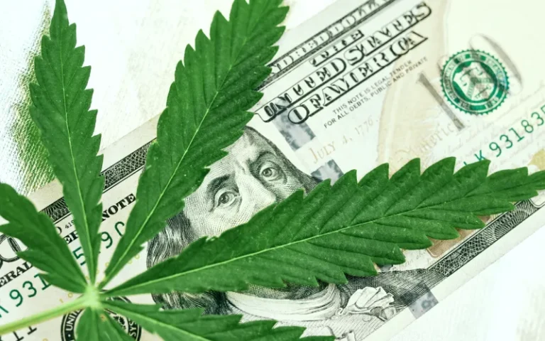 Michigan Adult-Use, Medical Cannabis Sales Reach $3.06 Billion in 2023